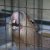 高岡古城公園動物園