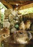 カピバラ日和 [DVD]